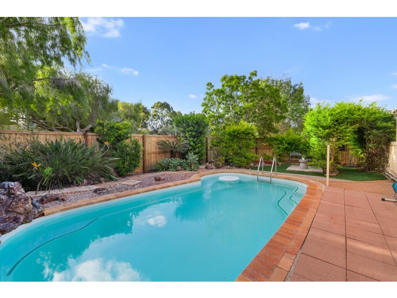 12 Bauhinia Street, Birkdale QLD 4159