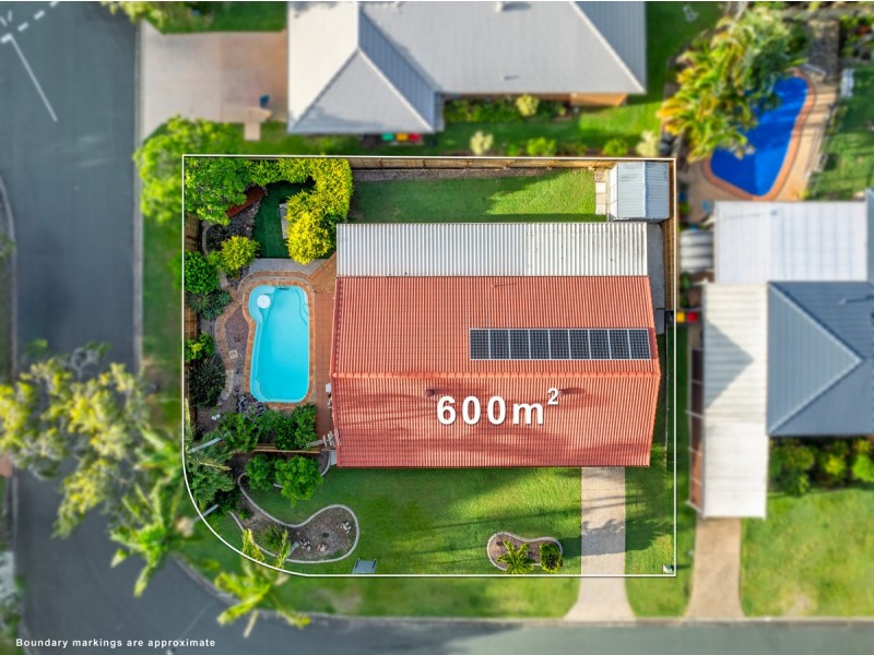 12 Bauhinia Street, Birkdale QLD 4159