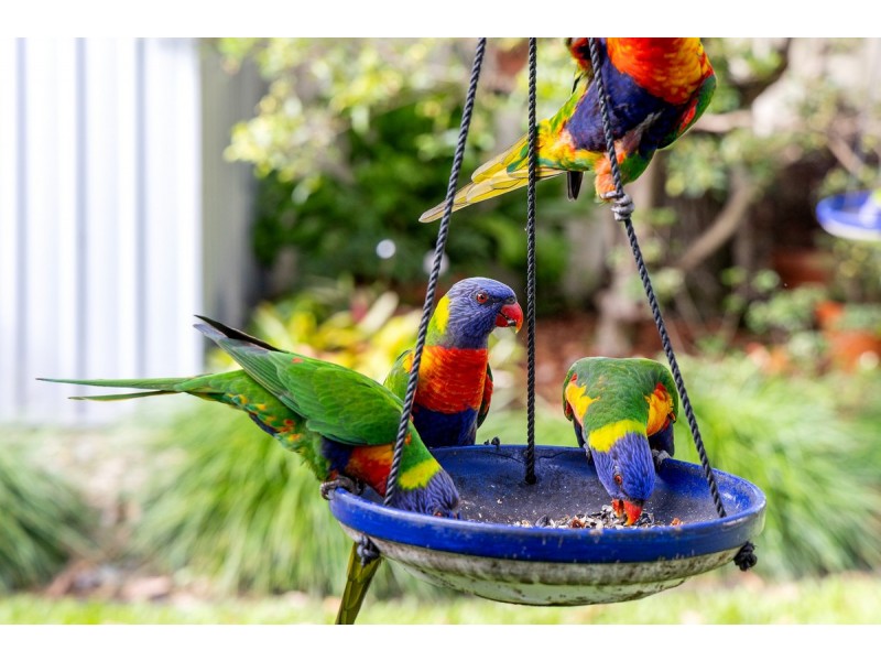 4 Bradworthy Street, Alexandra Hills QLD 4161