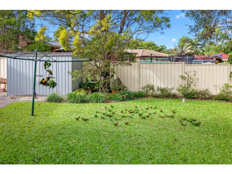 4 Bradworthy Street, Alexandra Hills QLD 4161