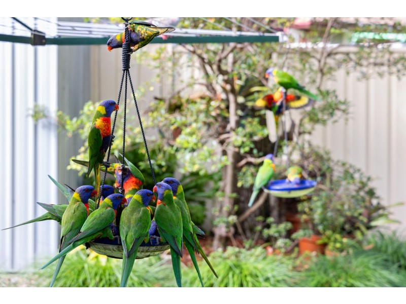 4 Bradworthy Street, Alexandra Hills QLD 4161