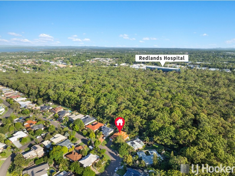 16 Gretel Place, Cleveland QLD 4163