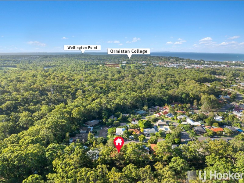 16 Gretel Place, Cleveland QLD 4163