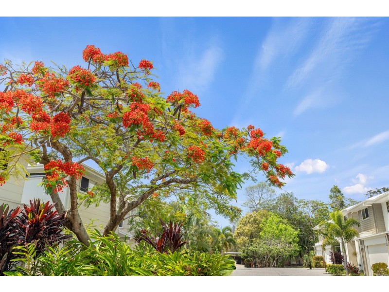 13/100-106 Sturgeon Street, Ormiston QLD 4160