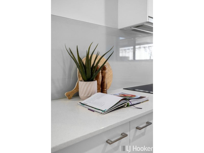 19 Tascon Street, Ormiston QLD 4160