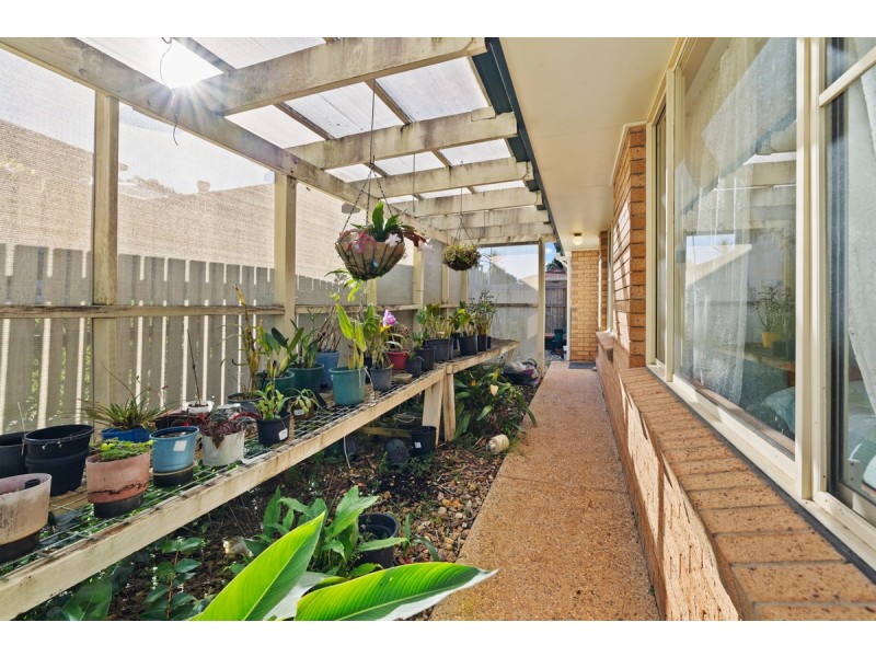 11 Pandora Court, Cleveland QLD 4163