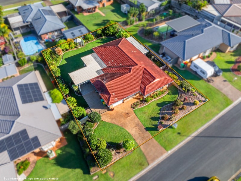 11 Pandora Court, Cleveland QLD 4163