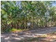 22 Naples Drive, Russell Island QLD 4184