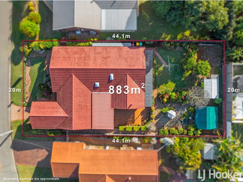 19 Harding Crescent, Cleveland QLD 4163