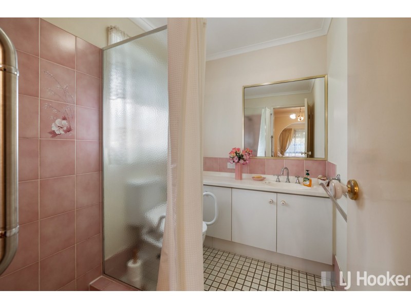 19 Harding Crescent, Cleveland QLD 4163