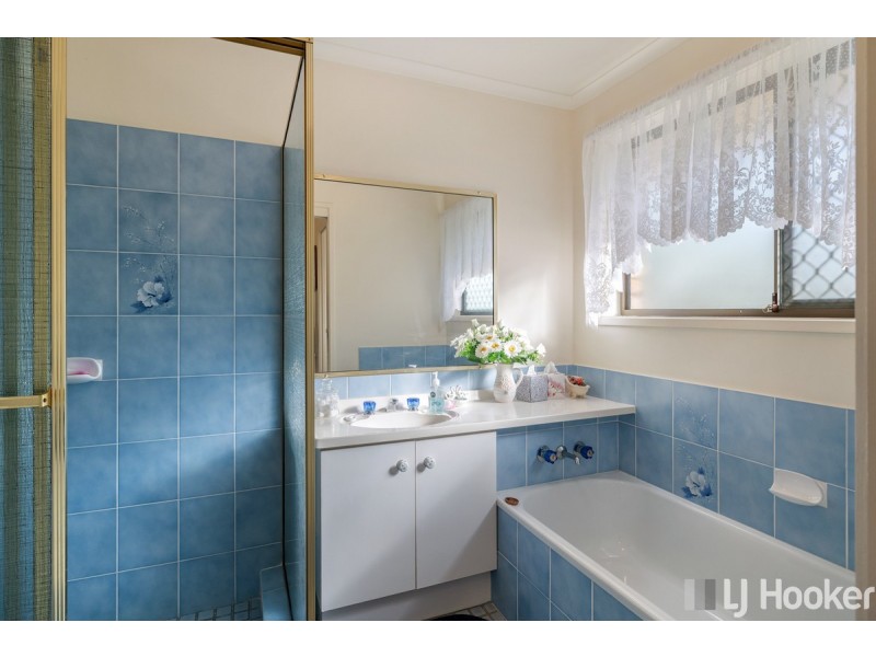 19 Harding Crescent, Cleveland QLD 4163