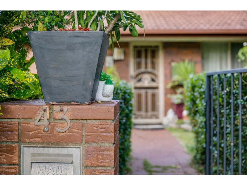43 Wilkie Street, Redland Bay QLD 4165