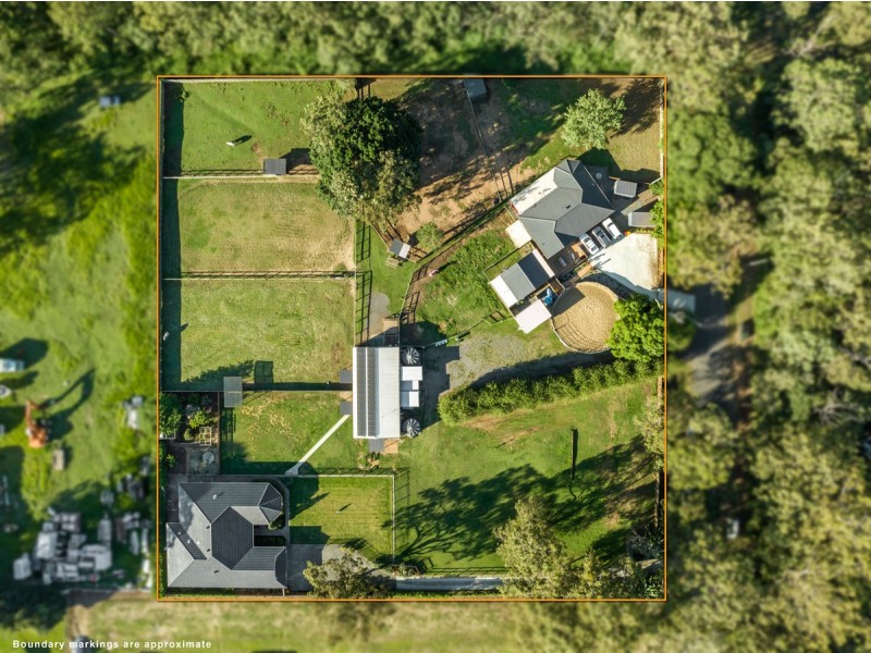 20 Camrose Street, Chandler QLD 4155