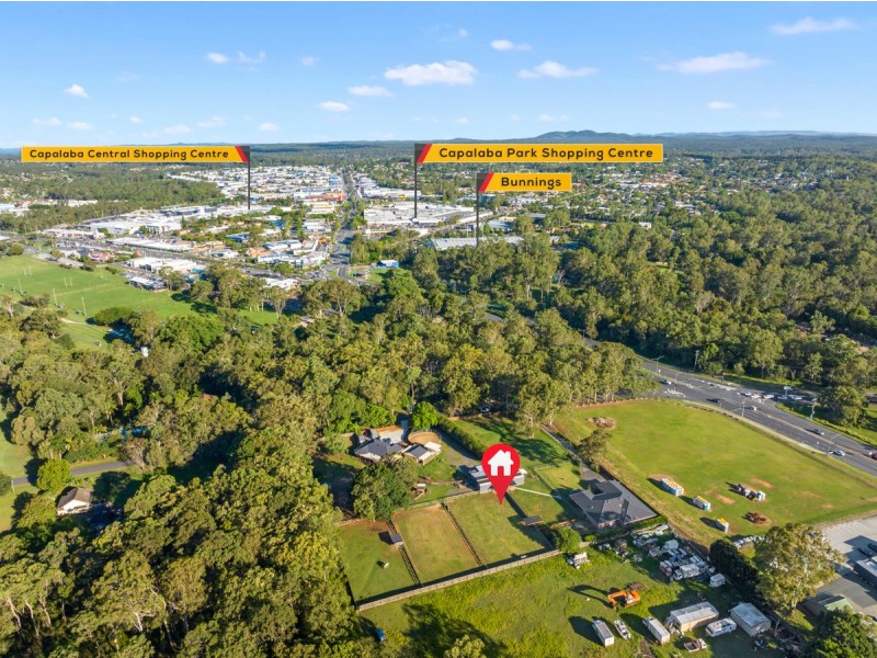 20 Camrose Street, Chandler QLD 4155