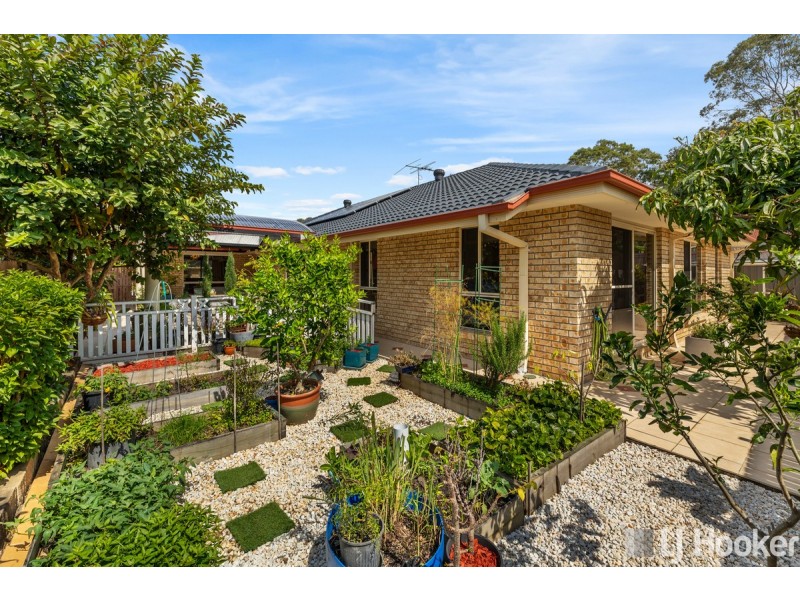 21 Adam Street, Cleveland QLD 4163