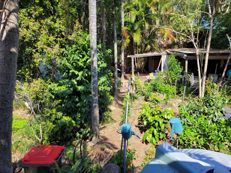 65 Armstrong Road, Cannon Hill QLD 4170