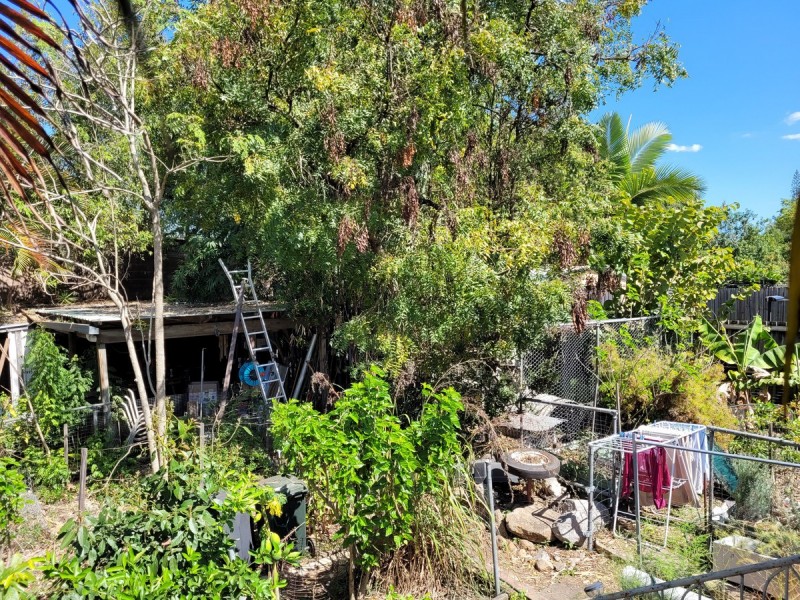 65 Armstrong Road, Cannon Hill QLD 4170