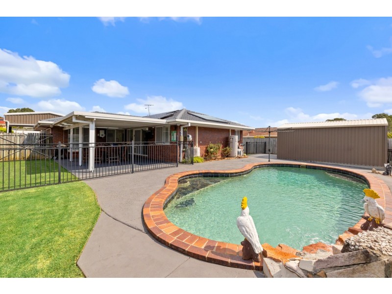 12 Pecan Court, Birkdale QLD 4159