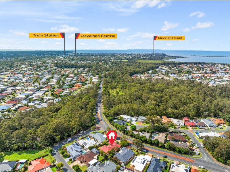 53 Clifford Perske Drive, Thornlands QLD 4164