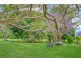 18 Davis Lane, Brendale QLD 4500