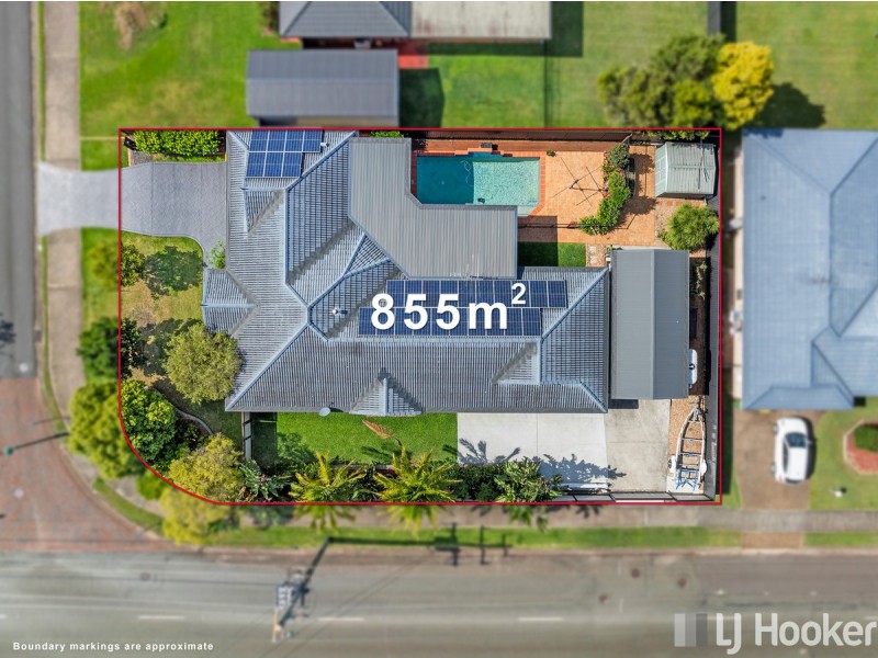 84 Clive Road, Birkdale QLD 4159