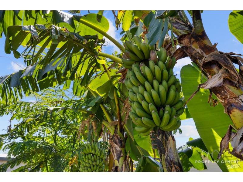 15 Banksia Street, Russell Island QLD 4184