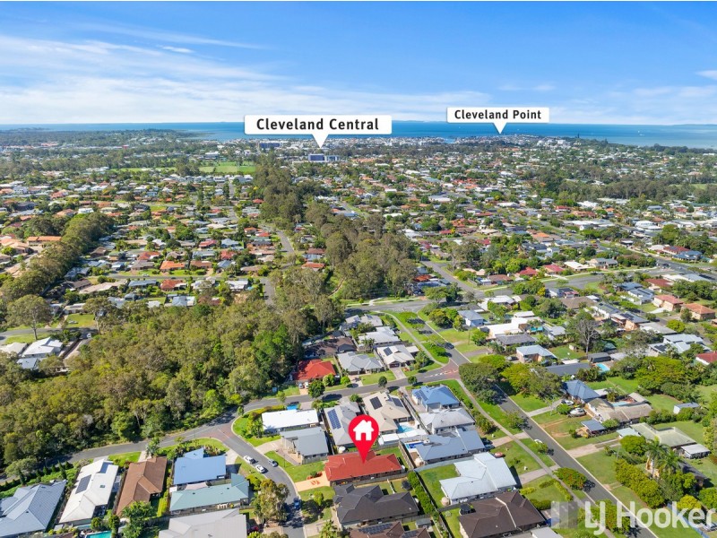 4 Shearwater Street, Cleveland QLD 4163