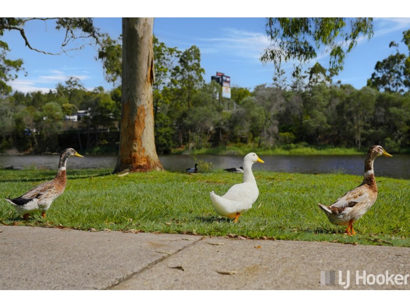 72 Hibiscus Drive, Mount Cotton QLD 4165