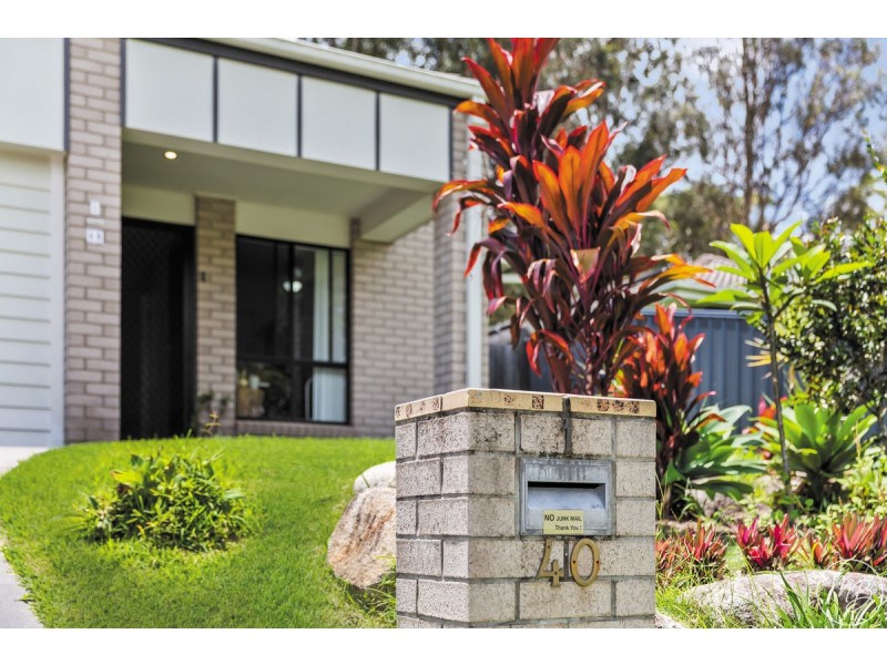 40 Riley Peter Place, Cleveland QLD 4163