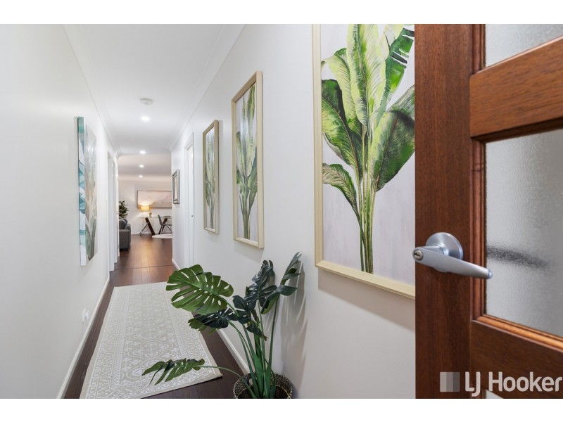 16 Burrum Street, Thornlands QLD 4164