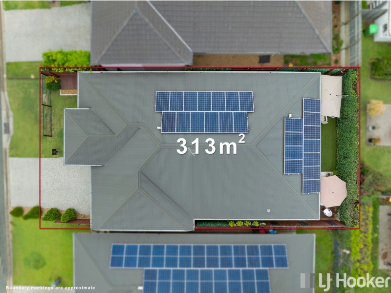 16 Burrum Street, Thornlands QLD 4164