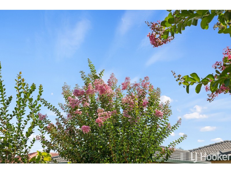 12 Labib Street, Redland Bay QLD 4165