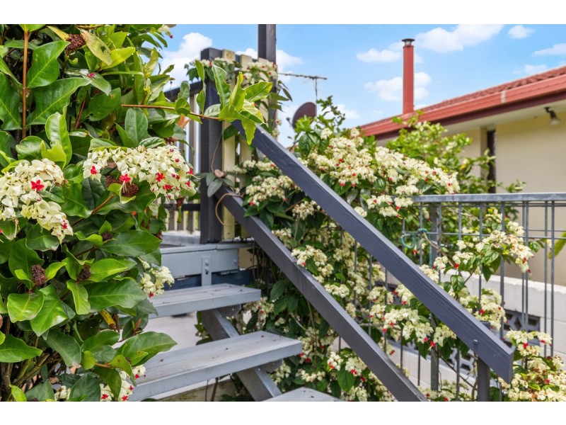 15 Wentworth Drive, Capalaba QLD 4157