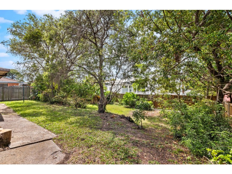 4 Trout Street, Thornlands QLD 4164