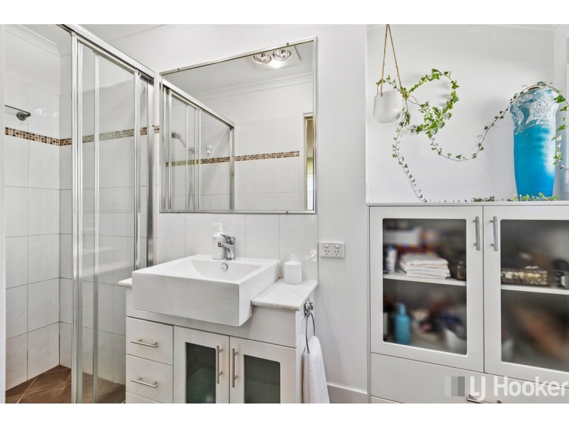 13 Julieanne Court, Cleveland QLD 4163