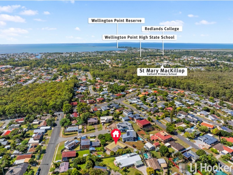 3 Owl Street, Birkdale QLD 4159