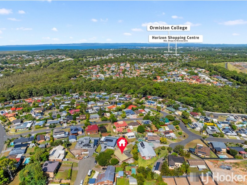 3 Owl Street, Birkdale QLD 4159