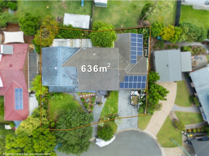 9 Pigeon Court, Birkdale QLD 4159
