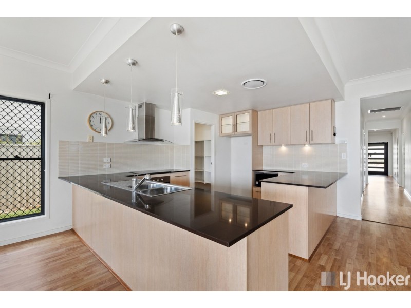 46 Ronnie Street, Cleveland QLD 4163