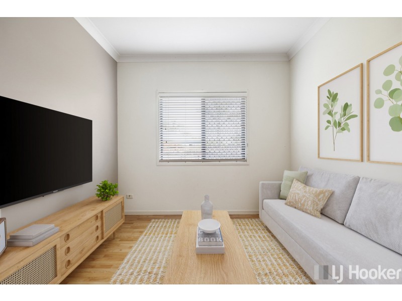 46 Ronnie Street, Cleveland QLD 4163