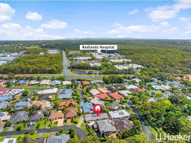 46 Ronnie Street, Cleveland QLD 4163
