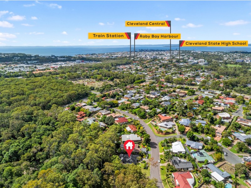 88 Sunshine Drive, Cleveland QLD 4163