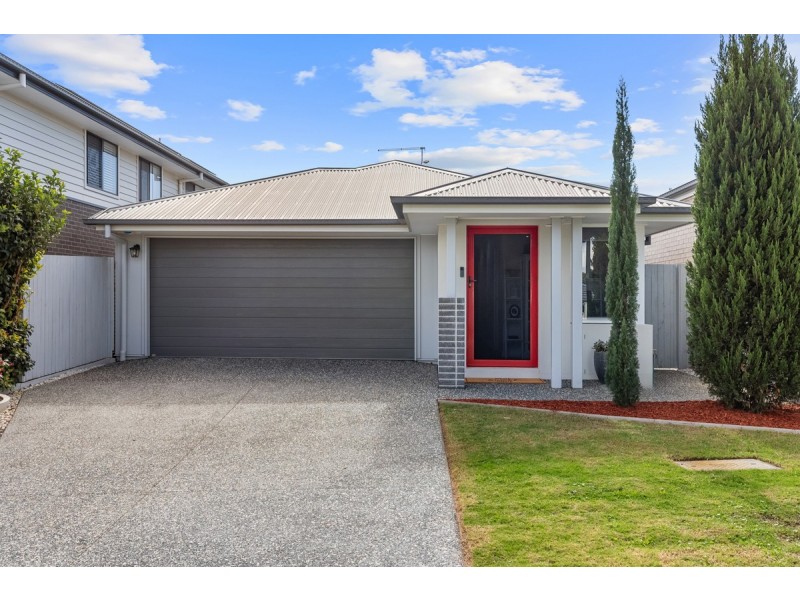 6 Newburgh Street, Thornlands QLD 4164