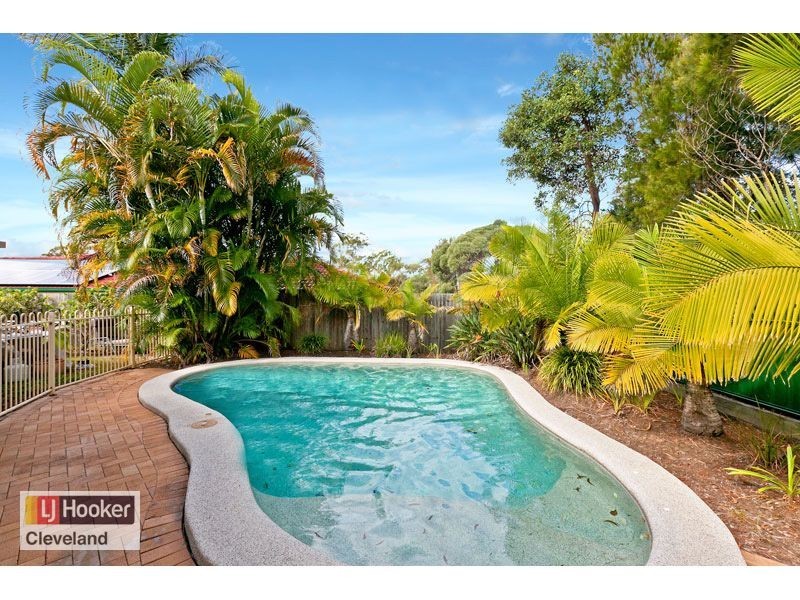 6 Serina Street, Capalaba QLD 4157