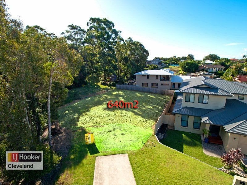 19 Riseborough Terrace, Cleveland QLD 4163