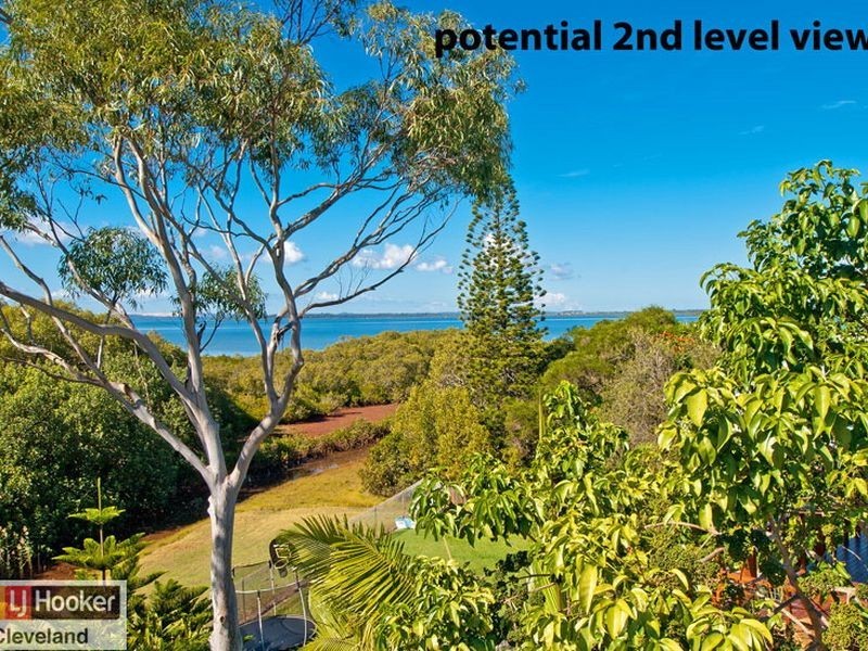 31 Erobin Street, Cleveland QLD 4163