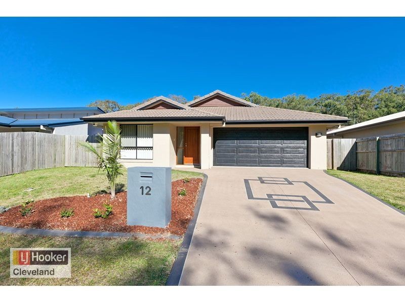 12 Jabiru Place, Cleveland QLD 4163