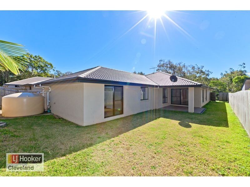 12 Jabiru Place, Cleveland QLD 4163