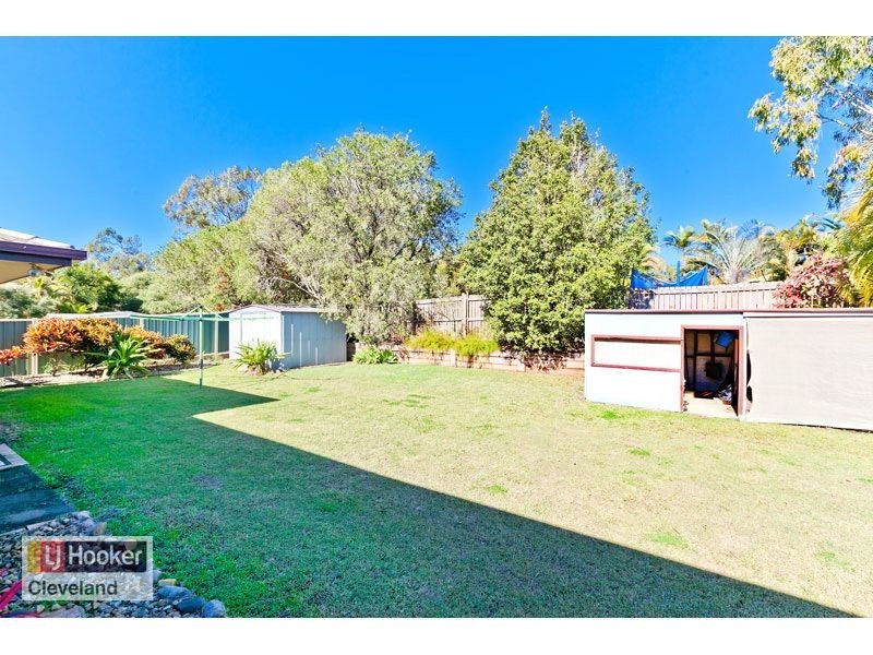 19 Winchester Road, Alexandra Hills QLD 4161