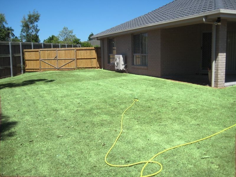 16 Amalia Street, Birkdale QLD 4159